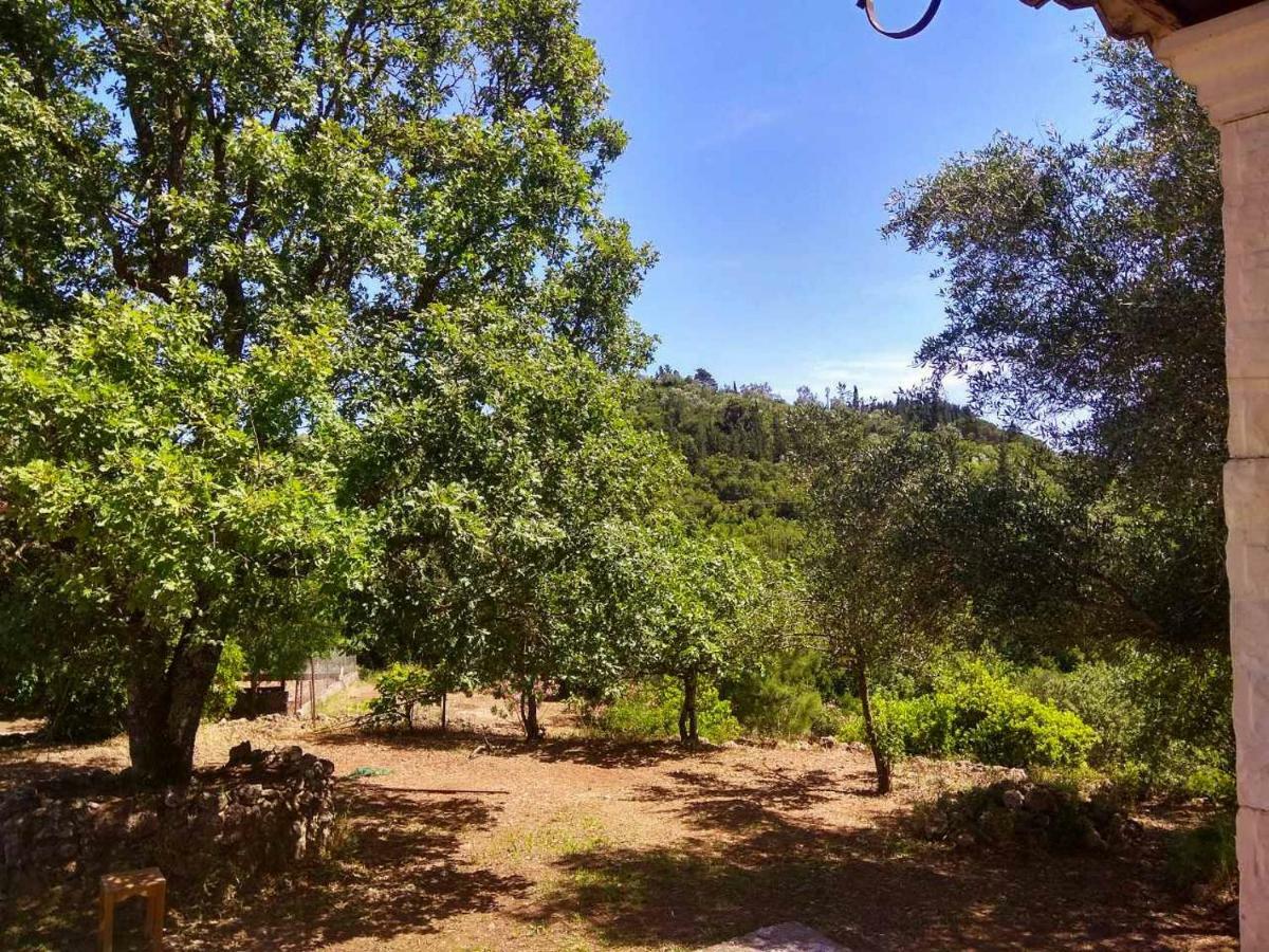 פלקאס Modern Eco Friendly Villa Close To Town מראה חיצוני תמונה