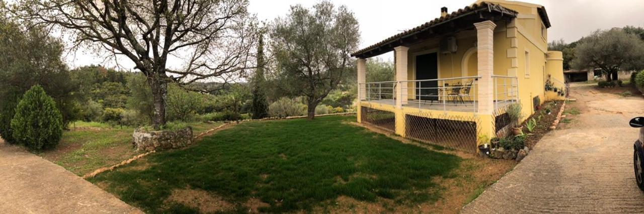 פלקאס Modern Eco Friendly Villa Close To Town מראה חיצוני תמונה